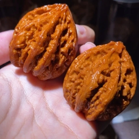 把件文玩核桃东北野生楸子小园 173