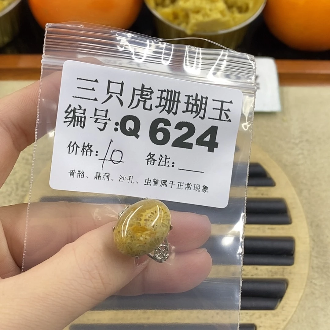 硅化珊瑚（珊瑚玉）1未镶嵌三**生