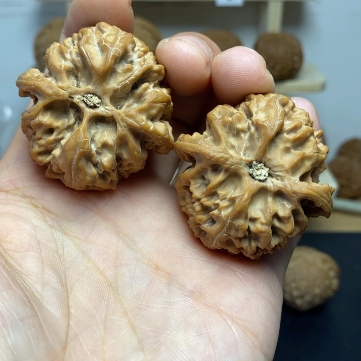 核桃42尺寸苹果园一对