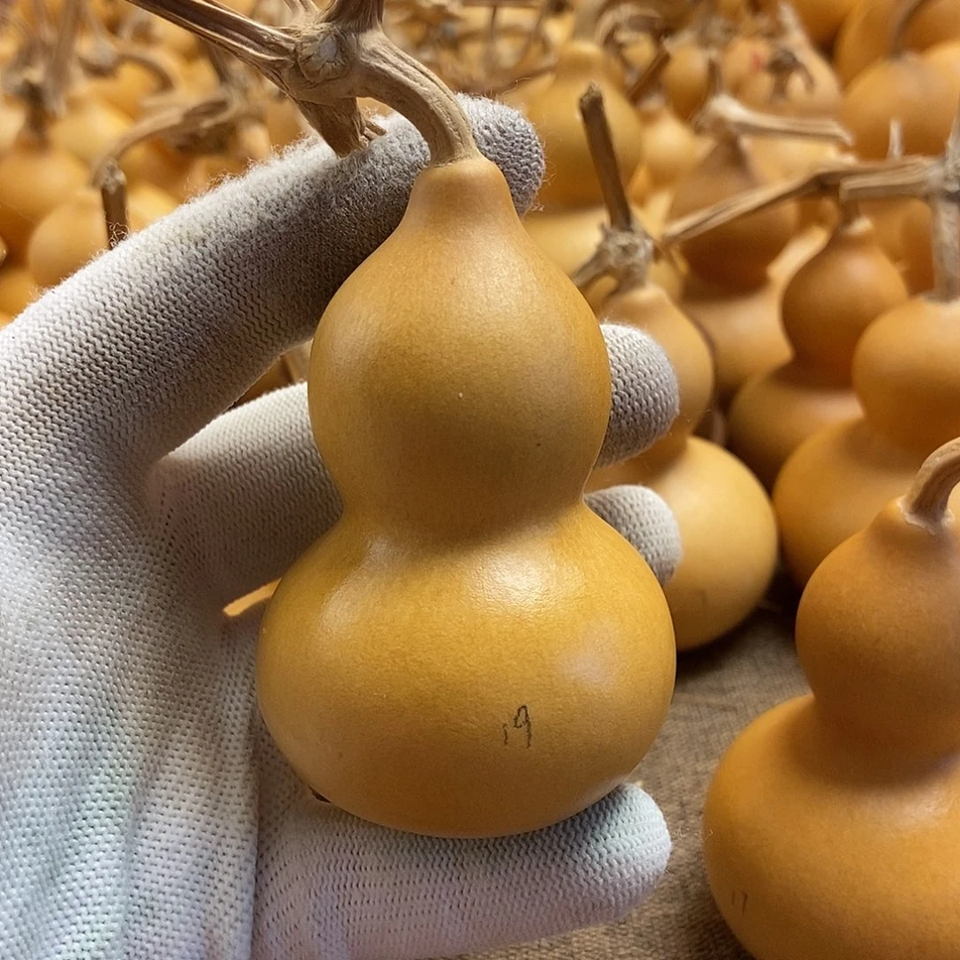 文玩葫芦 完美主义者 慎拍19