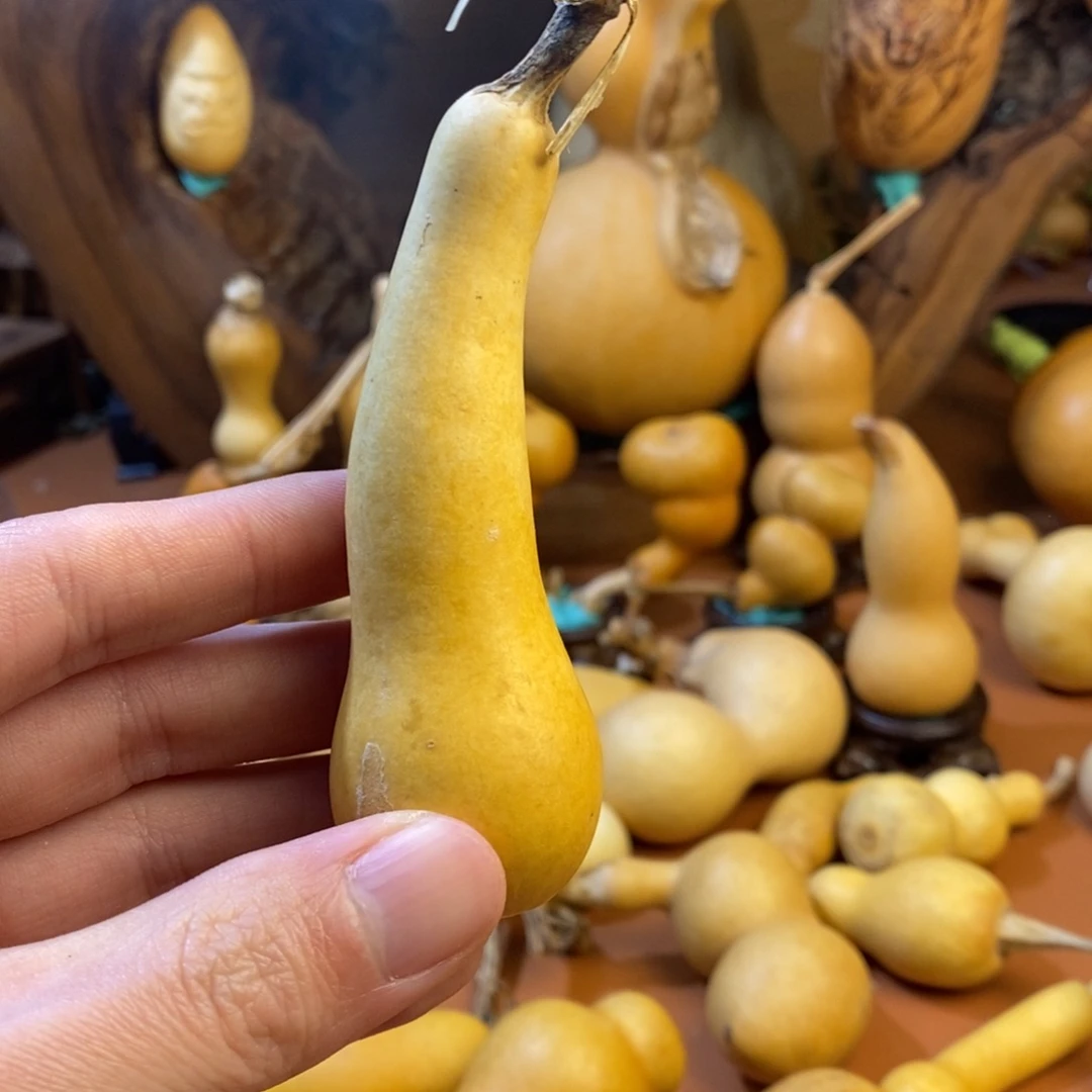 ***刀教练教练教练教练经理