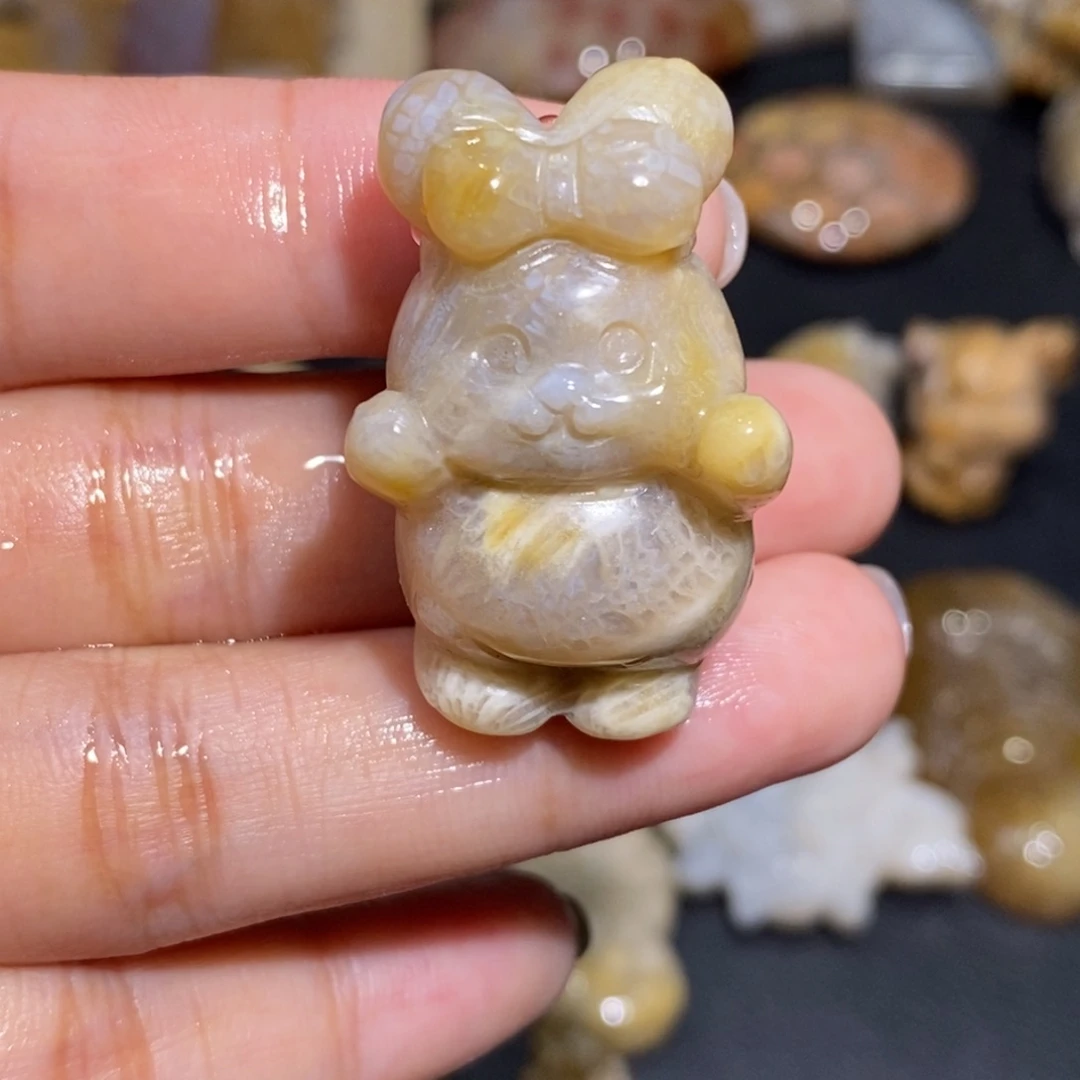 【闪购商品】硅化玉珊瑚玉未镶嵌