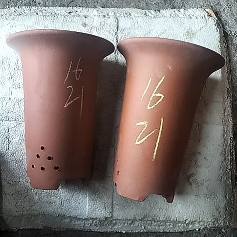 小红兰花两个微瑕