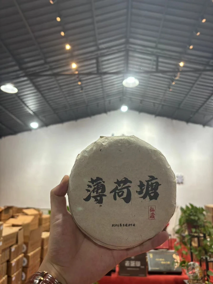 私藏薄荷塘 普洱茶 生茶200g