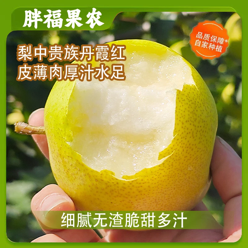【山西运城丹霞红梨】新鲜梨子皮薄肉厚脆甜多汁细腻无渣非玉露香梨