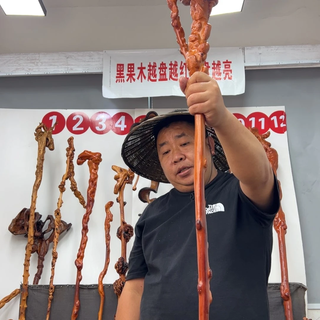 九***客黑果木其他黑果木735