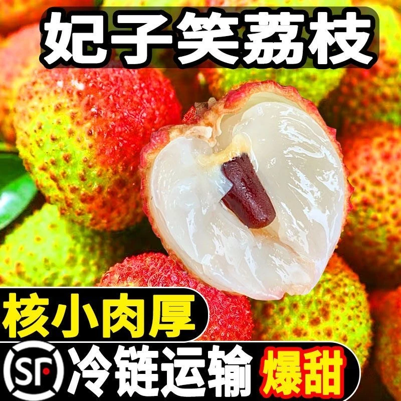 《顺丰冷链次日达》正宗广东茂名妃子笑荔枝 皮薄核小现摘鲜果5斤装坏果包赔