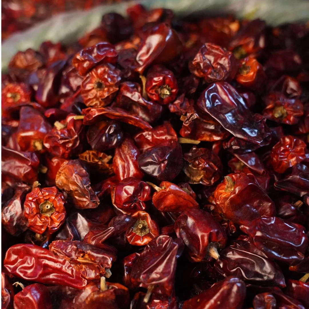 灯笼椒干辣椒五斤装香味技巧浓郁套装微微辣香辣辣椒干特香皱皮