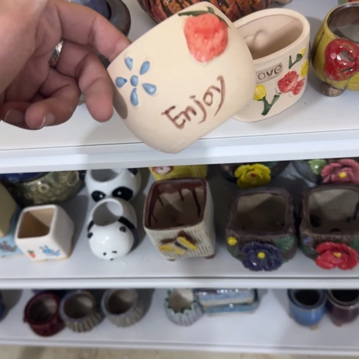 满9.9包邮花盆花盆