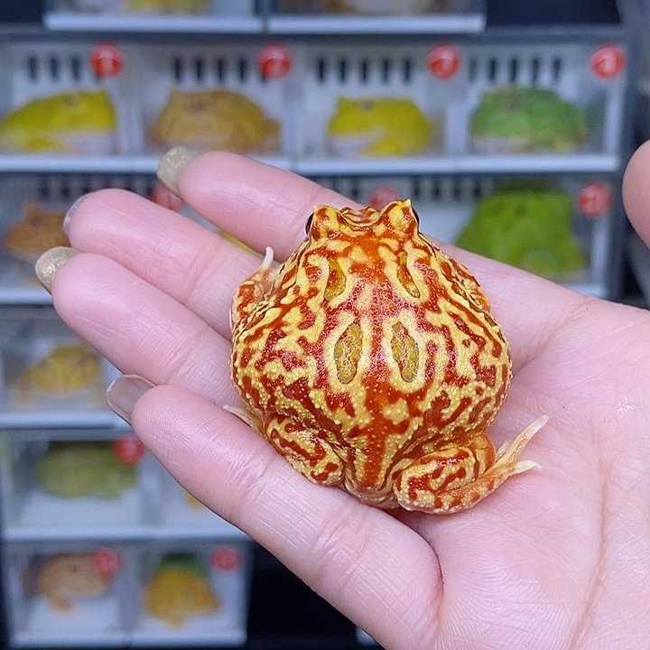 特价清仓处理现货