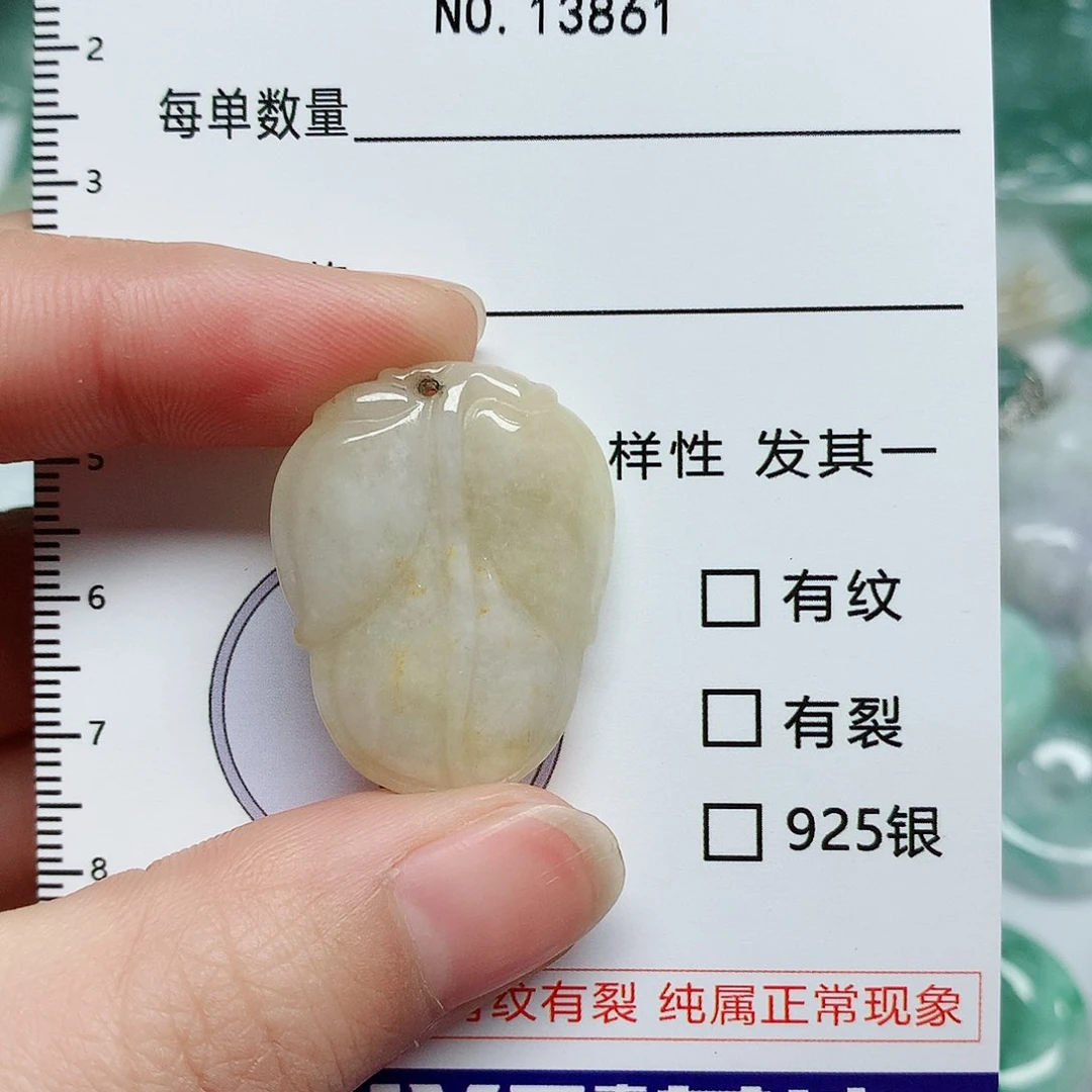 翡翠颈饰未镶嵌翡翠颈饰未镶嵌13861