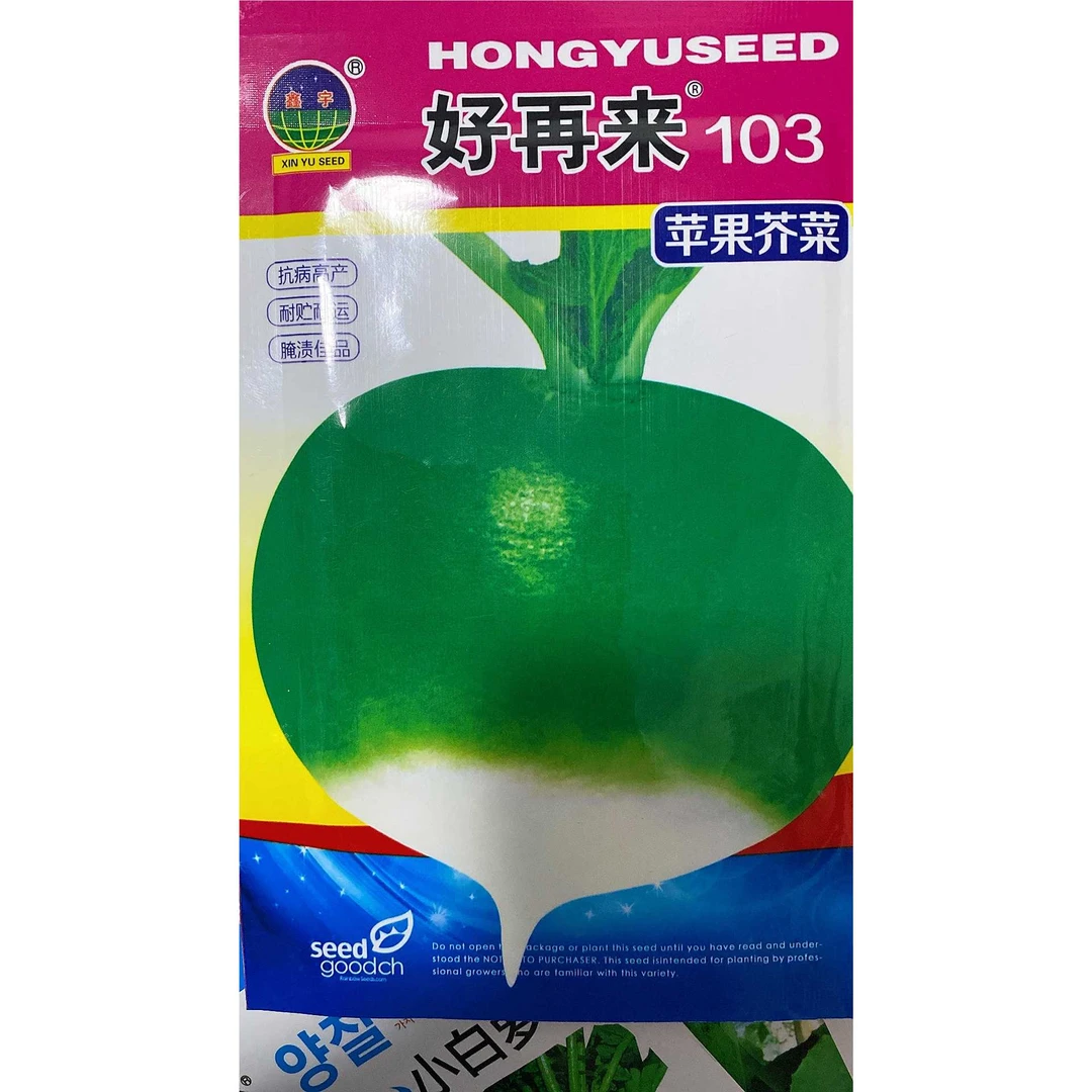 jj苹果芥菜籽今年新种今年新种