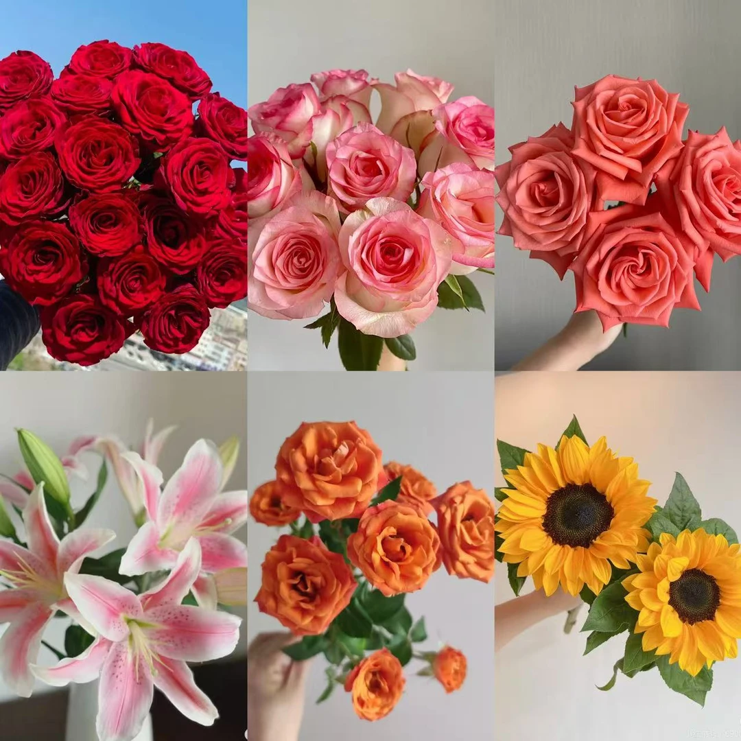 【主推款鲜花组合】红玫瑰+艾莎玫瑰+百合+向日葵鲜花组合家养鲜花