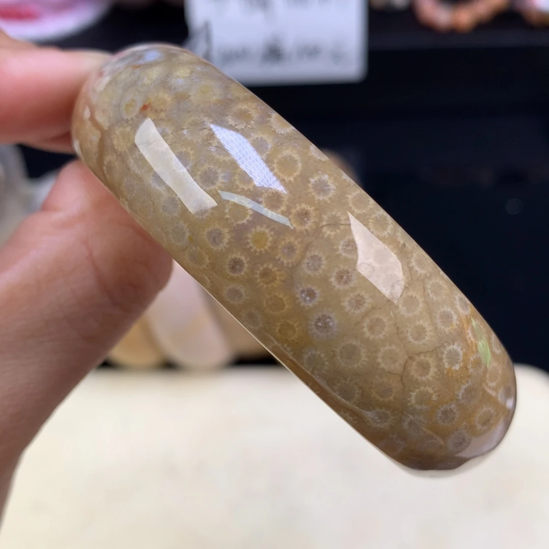 硅化珊瑚（珊瑚玉）未镶嵌吊坠(赠链)（25号）五折手镯56圈