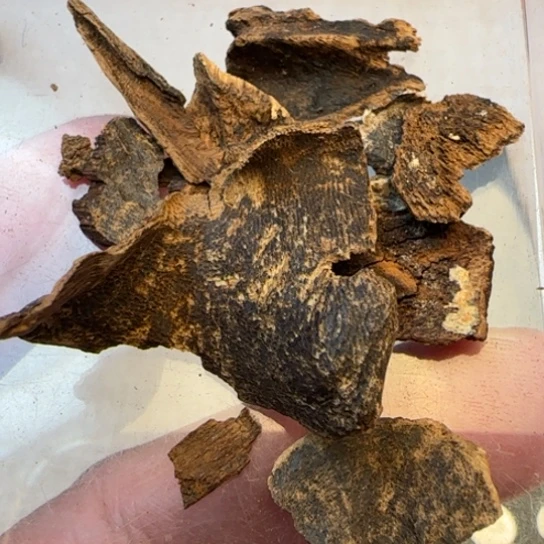 沉香摆件尖峰岭沉水包头3.1克