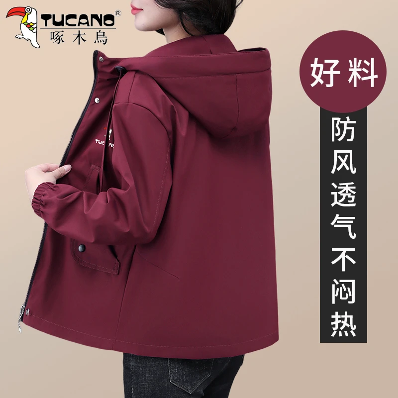 啄木鸟洋气大码冲锋衣外套春装女款新款爆款宽松休闲夹克连帽上衣