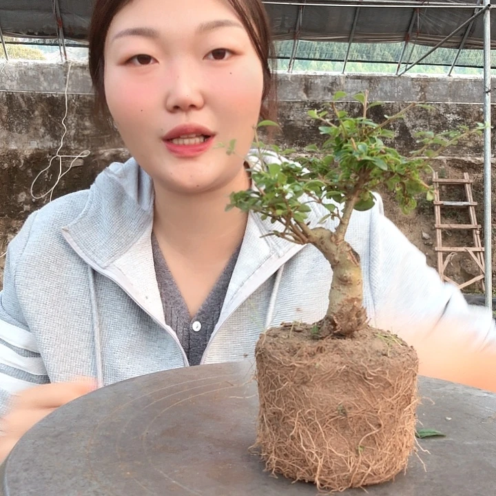 平***淡无花朵好尴尬好回复