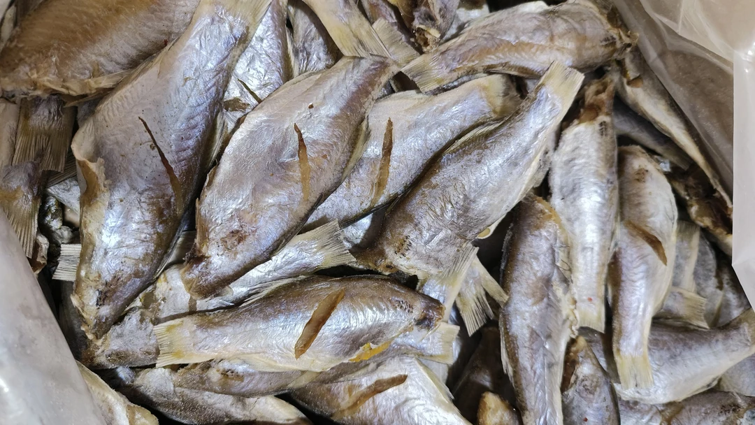 惠安小岞本生晒午笋鱼干，半干，微咸，不退货，省外不寄