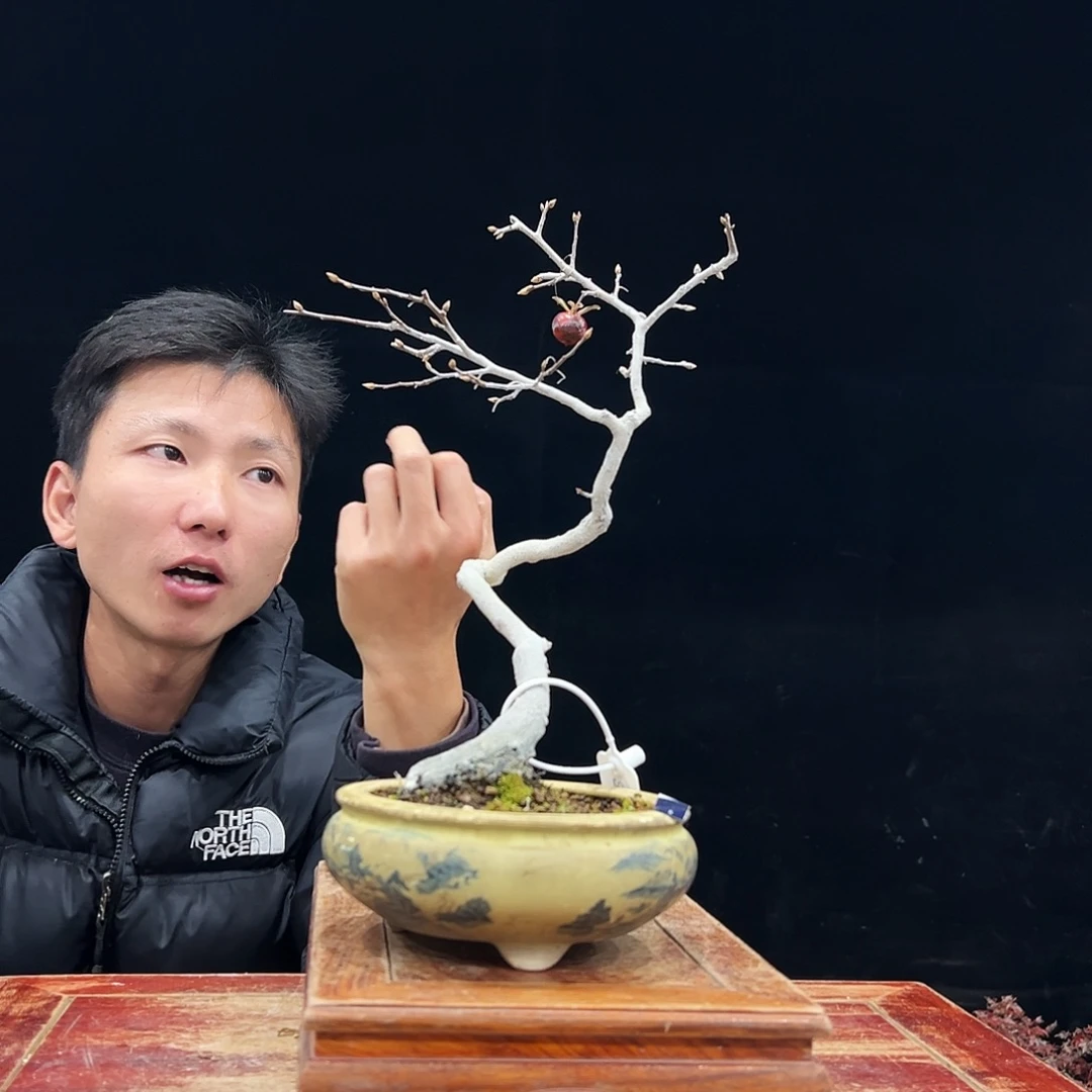 我***路无花朵进口老鸭柿