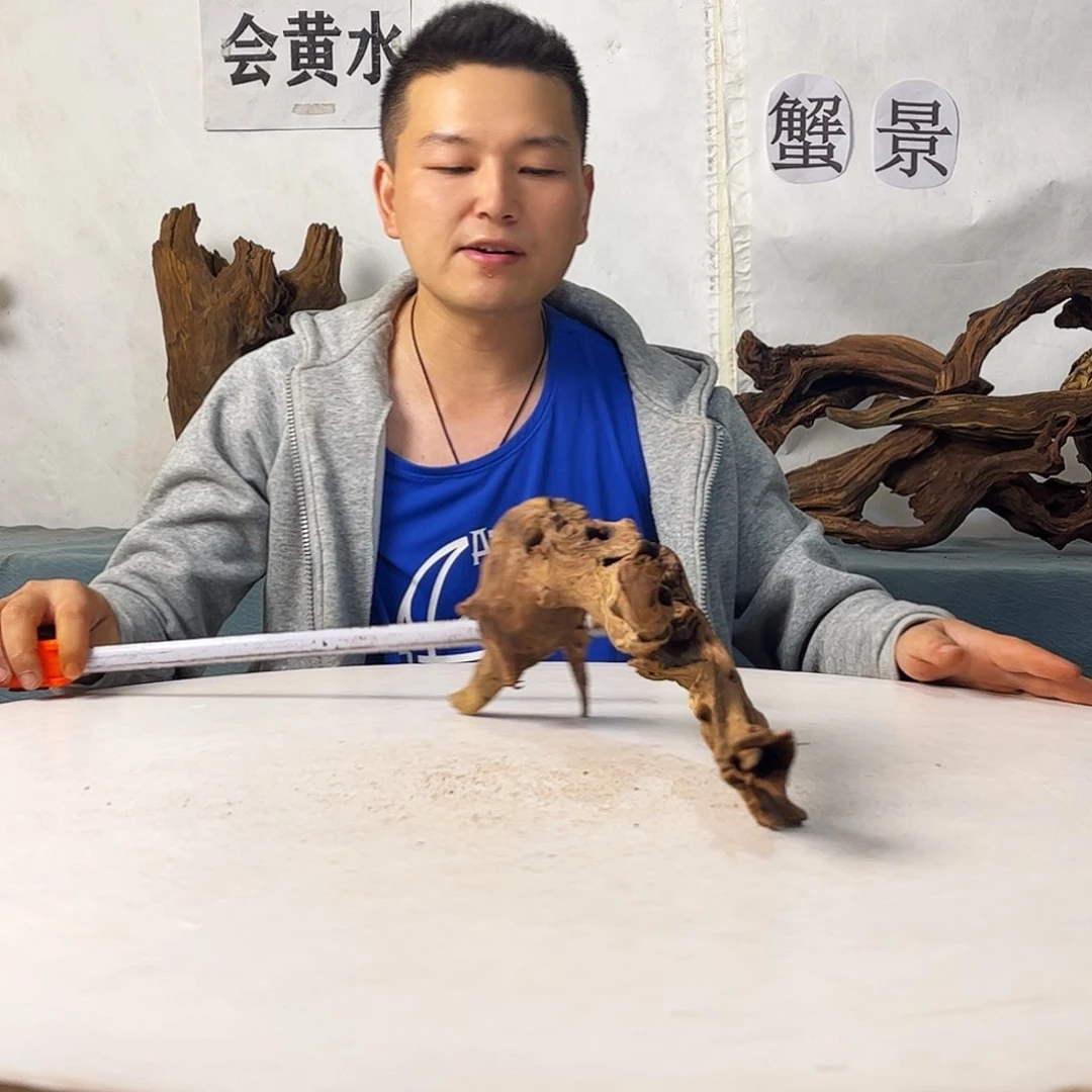 41.15.9 沉木造景爬宠造景