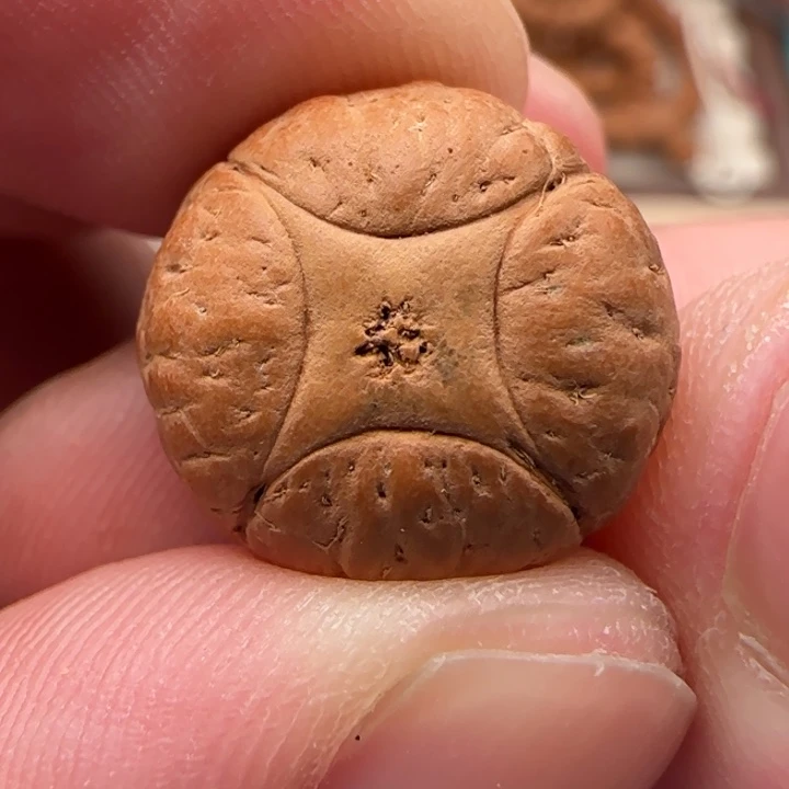 凤眼菩提吊坠尼泊尔17