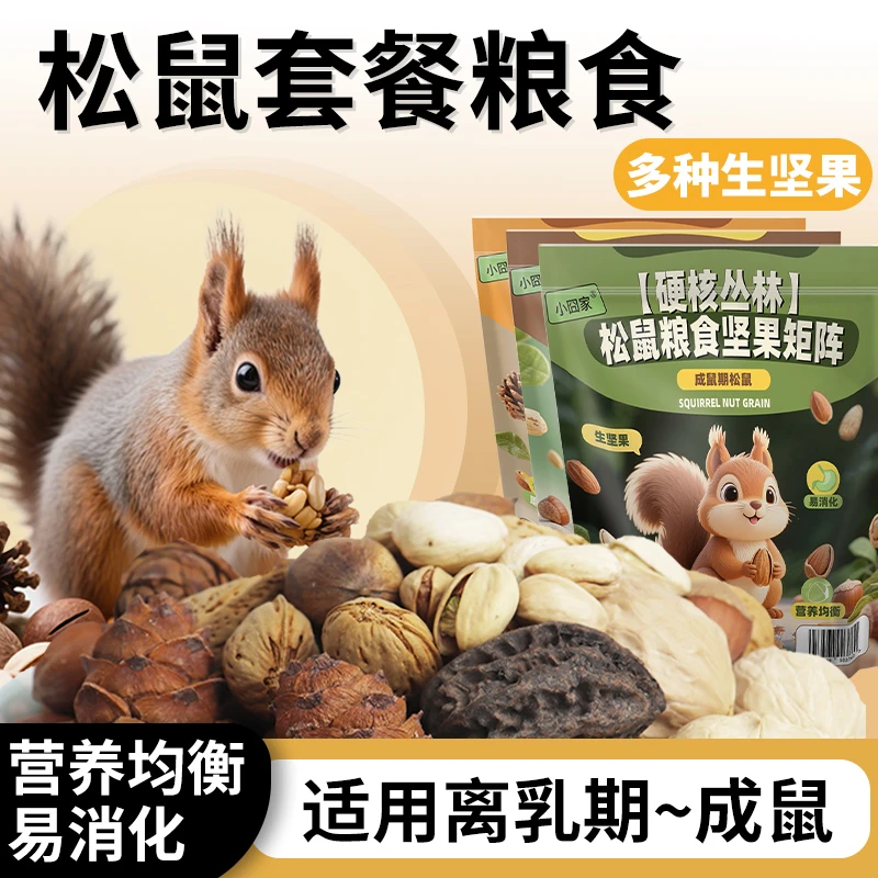 松鼠粮食主粮生坚果零食礼包松子套餐金花魔王红腹幼崽吃的食物