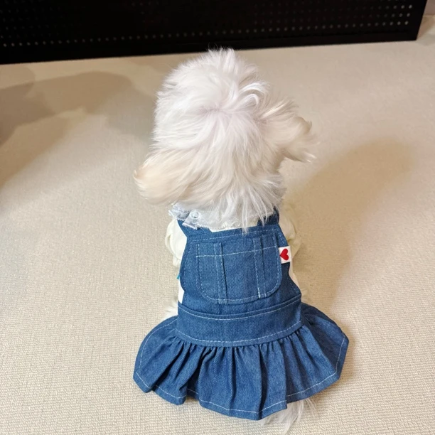 【奇奇lala】宠物牛仔裙心动牛仔口袋裙背带牛仔裙休闲风