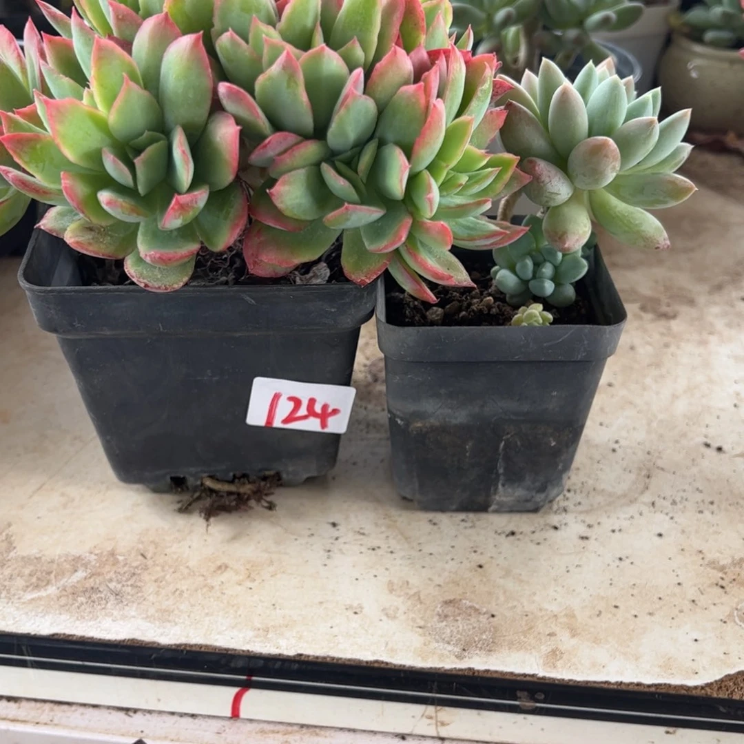 【闪购商品】又****天124。  11111111
