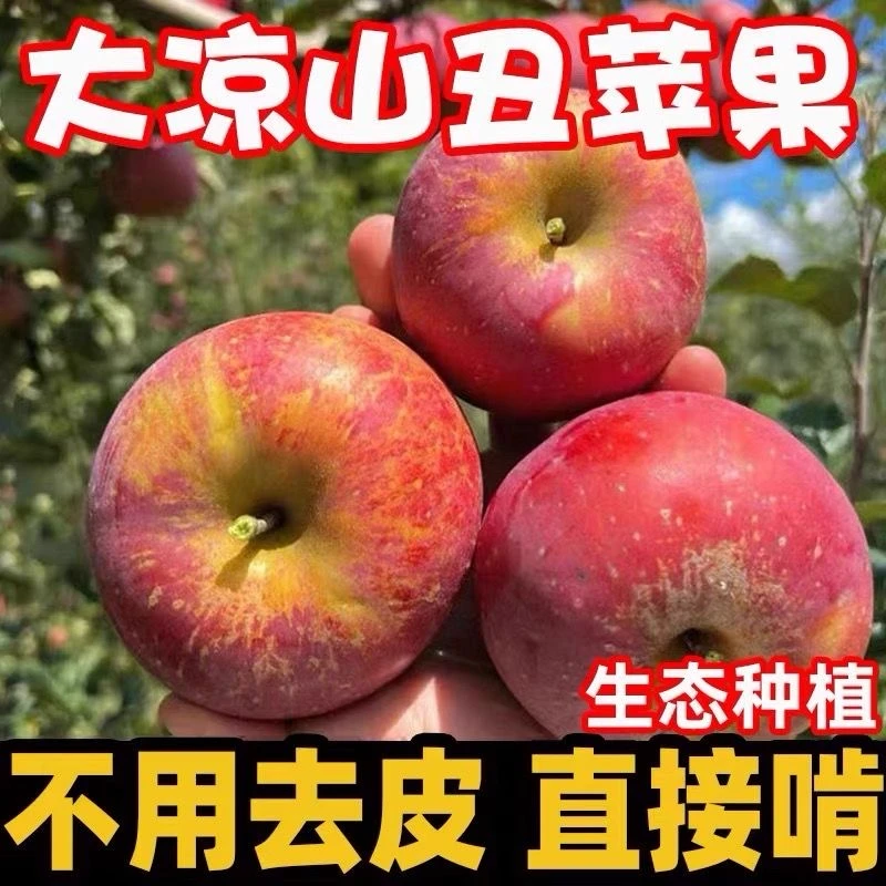 四川大凉山丑苹果冰糖心脆甜可口4.5斤新鲜应季高山水果