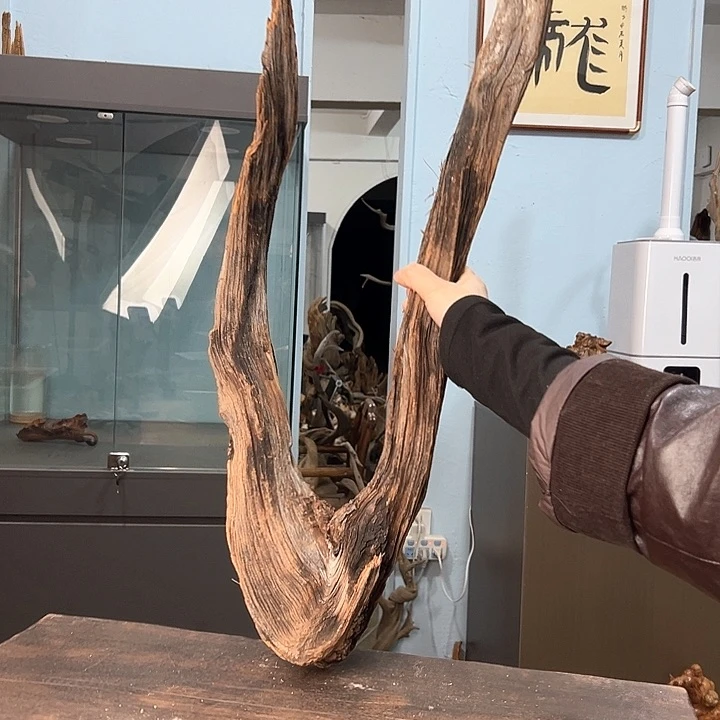 柏木月****水我们的生活也会越来越美好吧希望大家