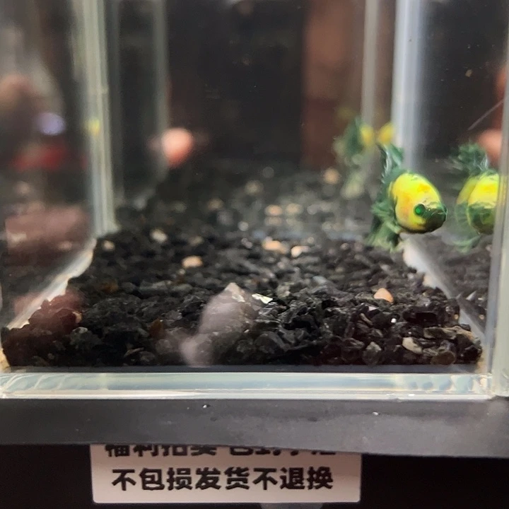 斗鱼一单包邮14日93