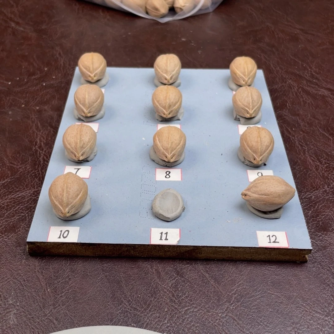 手串/手链橄榄核?*粹19.27梅林铁核
