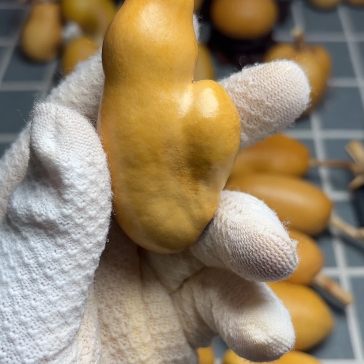 ～****风裂6666666666666