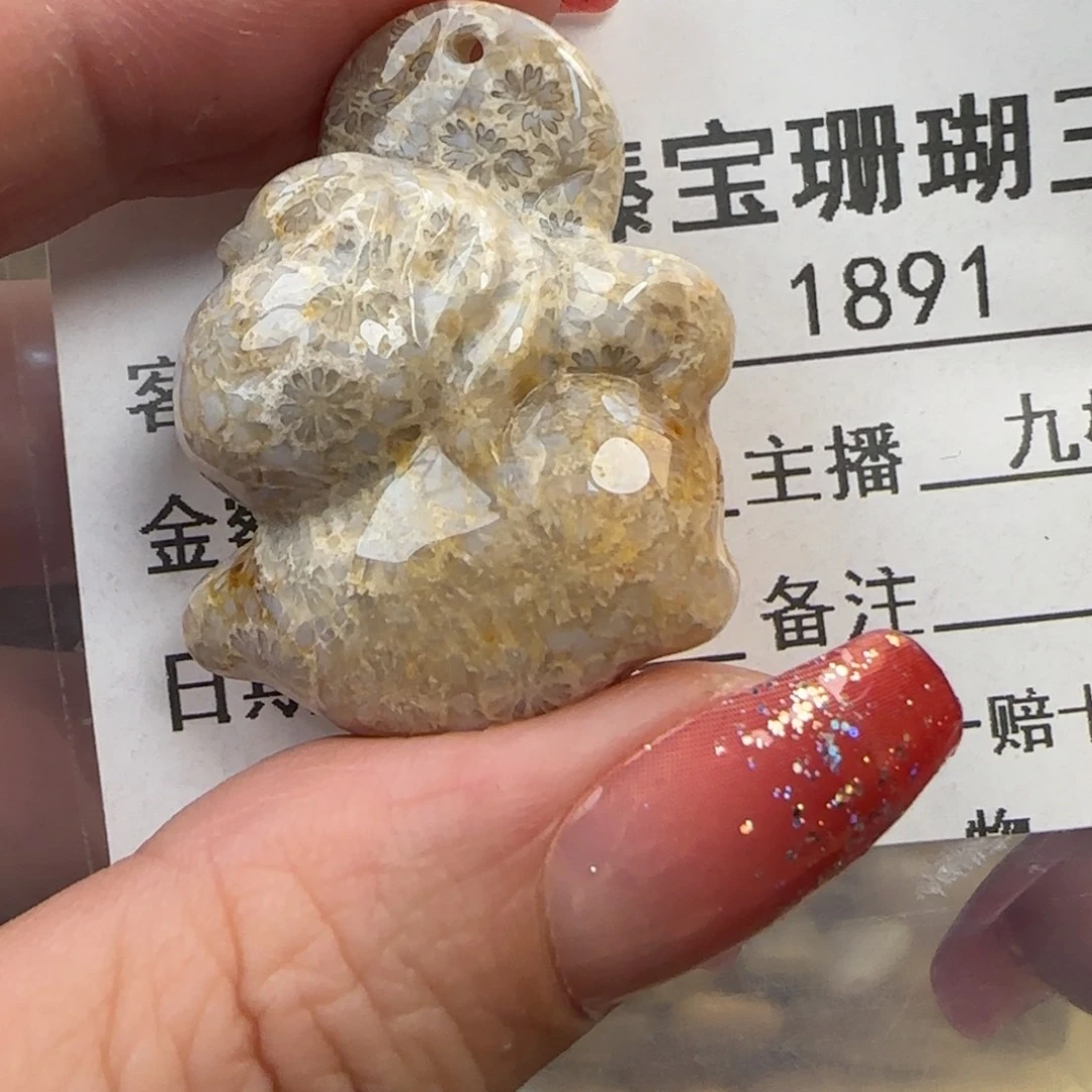 硅化珊瑚（珊瑚玉）未镶嵌颈饰