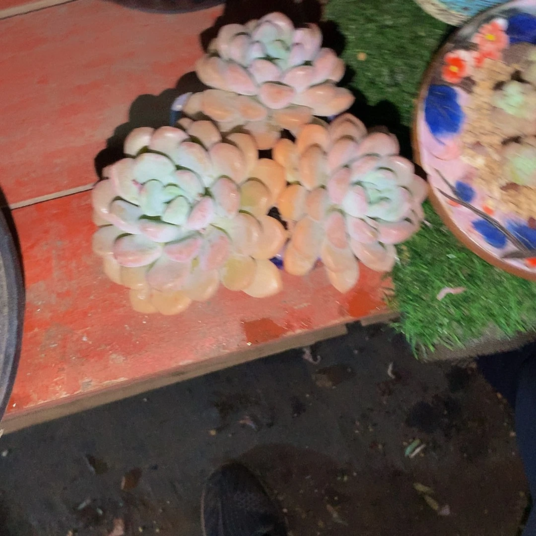 路****…哈哈哈哈哈哈哈哈哈哈哈