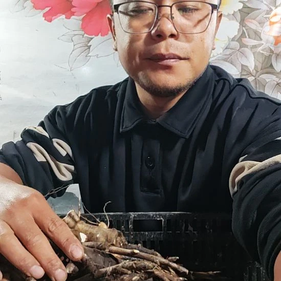 完全开放一年嫁接苗4颗....