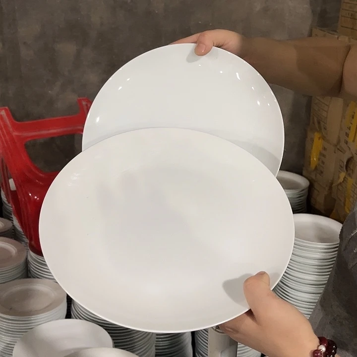 瓷片高白泥十英寸浅盘两个，微瑕包邮