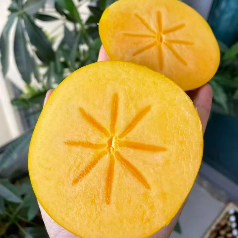 广西桂林恭城高山糖心甜脆柿 脆甜不涩口 削皮即食