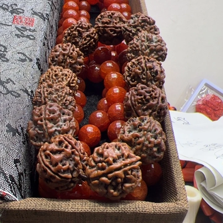 木质非金属1.2/108巴西龙壁挂长布礼盒