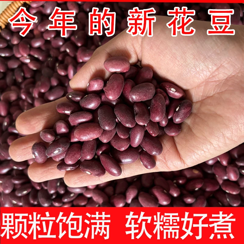 云南紫花芸豆酸菜豆米新豆腰豆农家特产豆子饭豆粥豆杂粮花豆