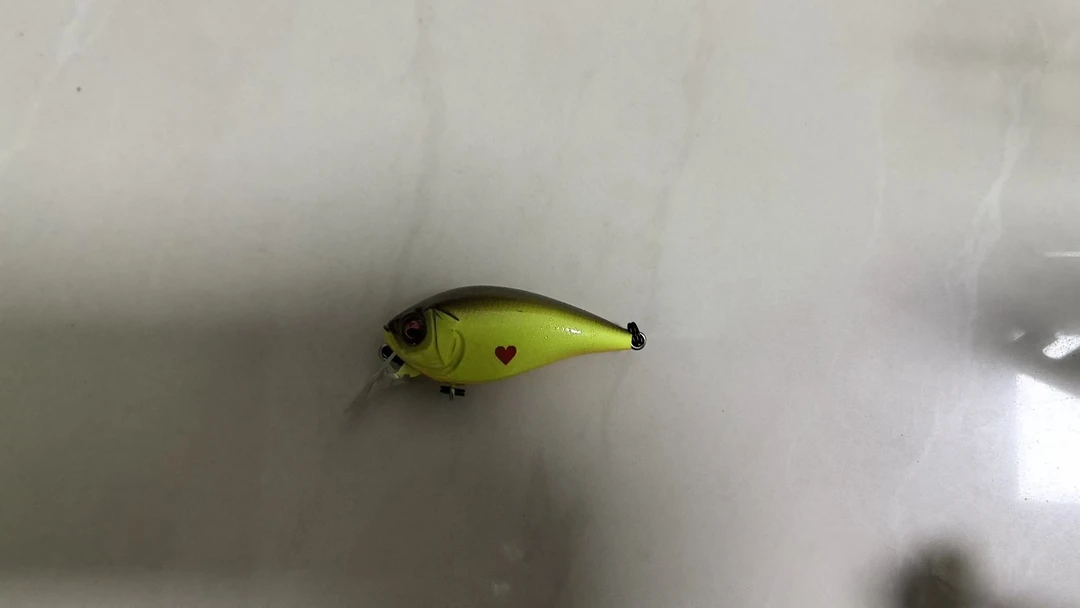 20250122-16 路亚饵