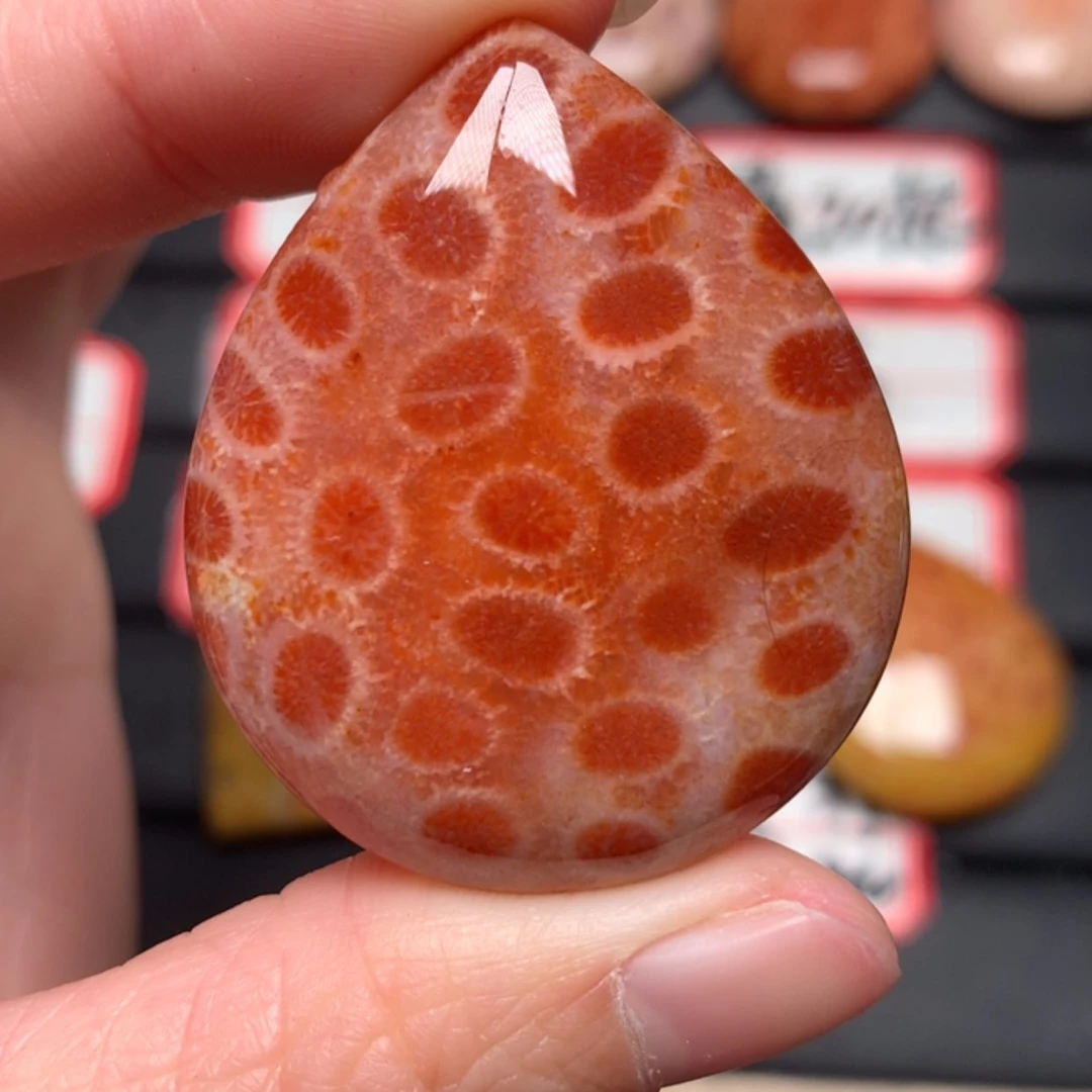 【闪购商品】硅化玉颈饰未镶嵌白*