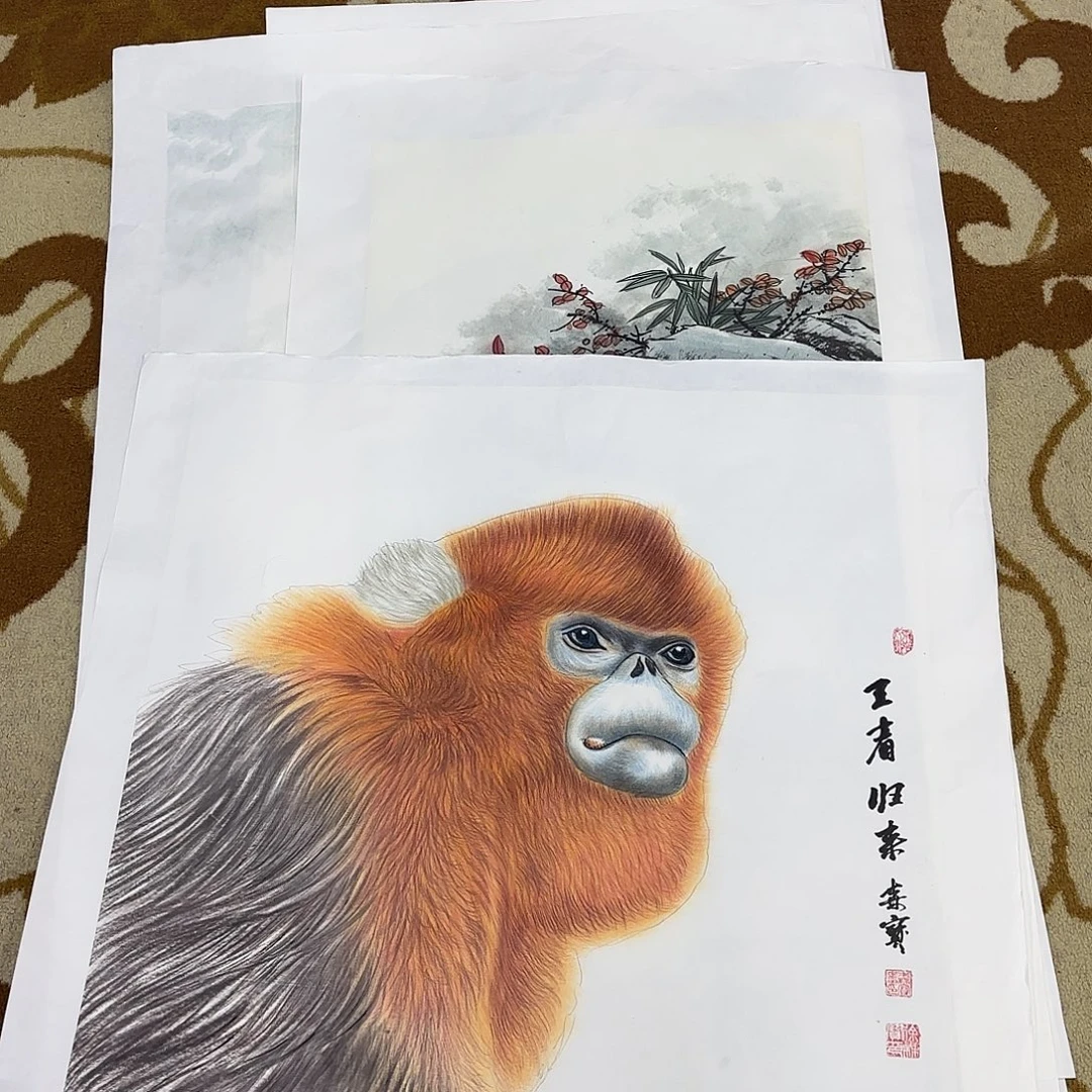 油画李李李李欣李欣主播