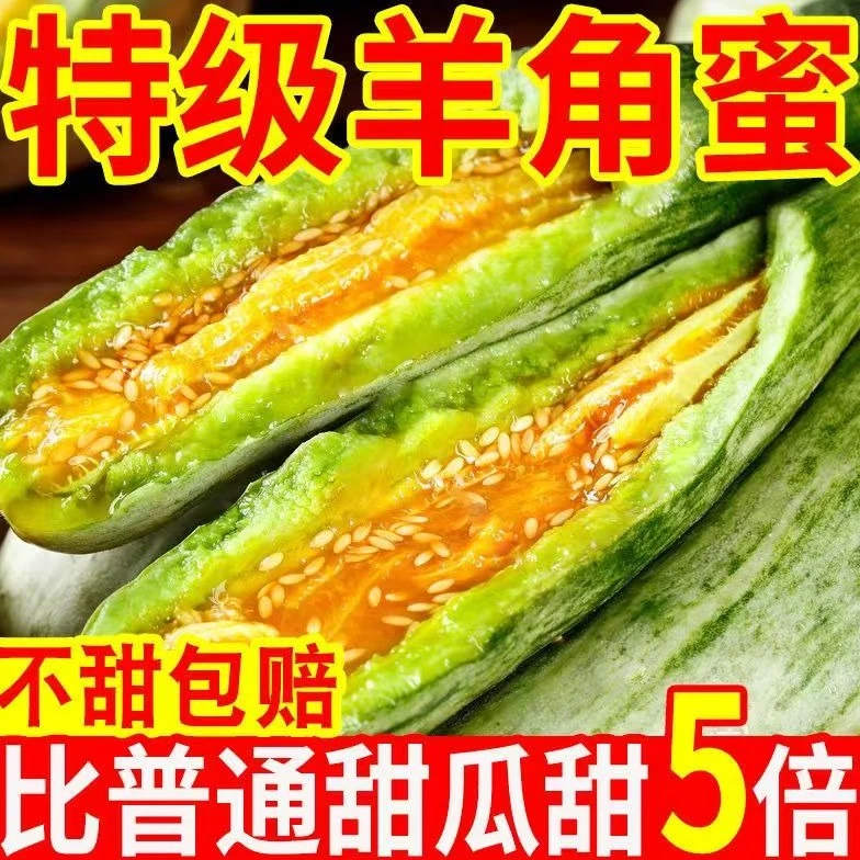 山东头茬羊角蜜甜瓜口感清脆香甜新鲜现摘应季水果脆甜瓜