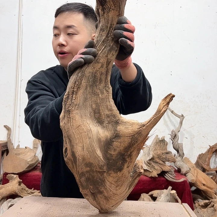 柏木给****卡我们的生活也会越来越美好