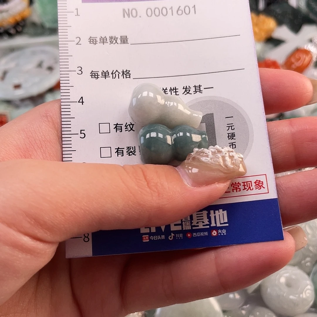 翡翠未镶嵌颈饰1601