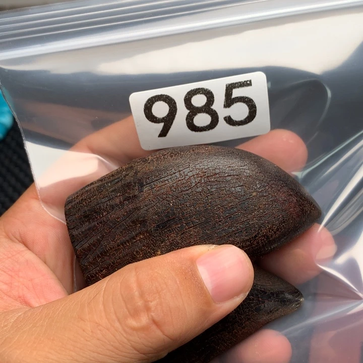 大果紫檀（缅甸花梨）