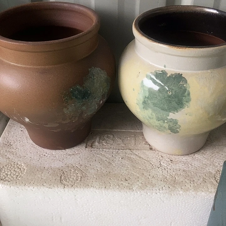 红糖16。。。。21。。。。。。。