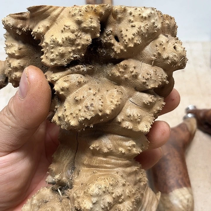 梨木老***山麻梨疙瘩地方方法