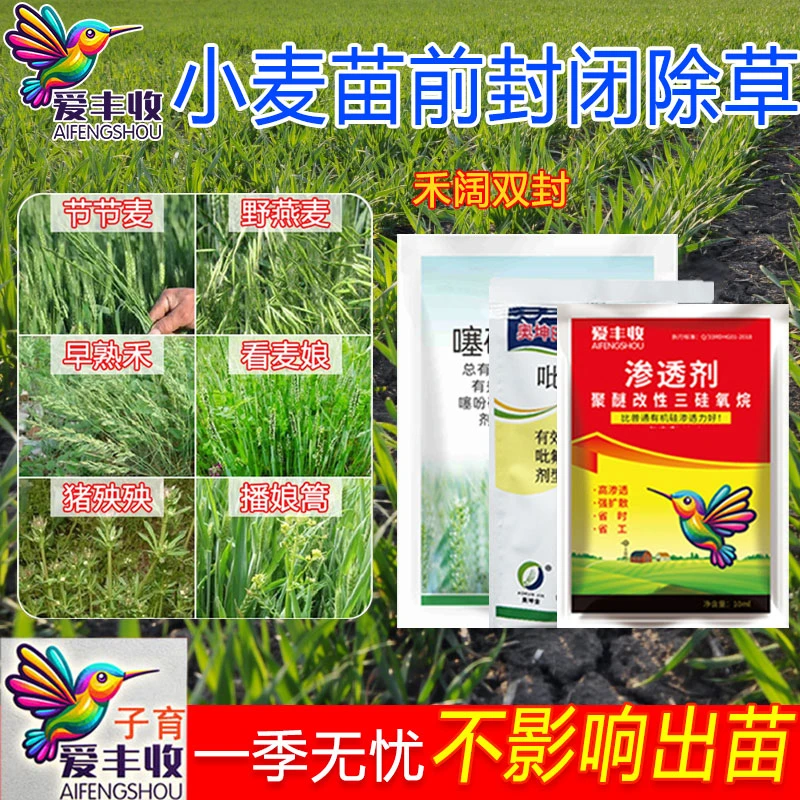 小麦田野燕麦苗前封闭专用播后苗前使用禾阔双封一季无草除草剂